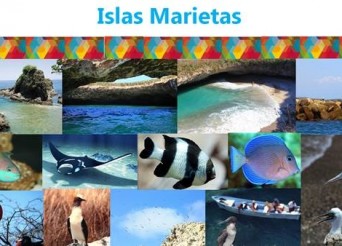 Islas Marietas, el paraíso de Riviera Nayarit y de México